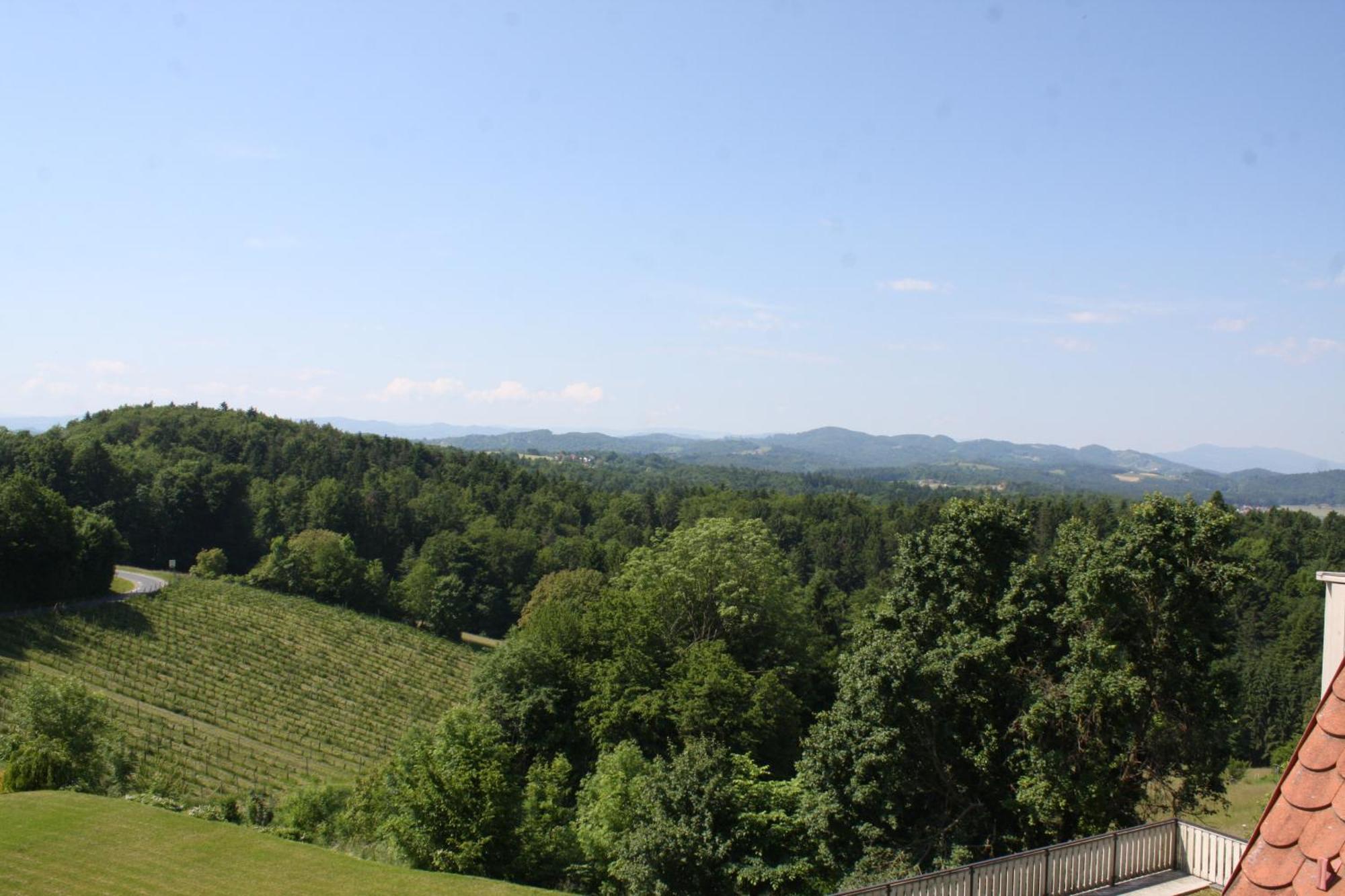 Hotel Garni Am Seggauberg 莱布尼茨 外观 照片